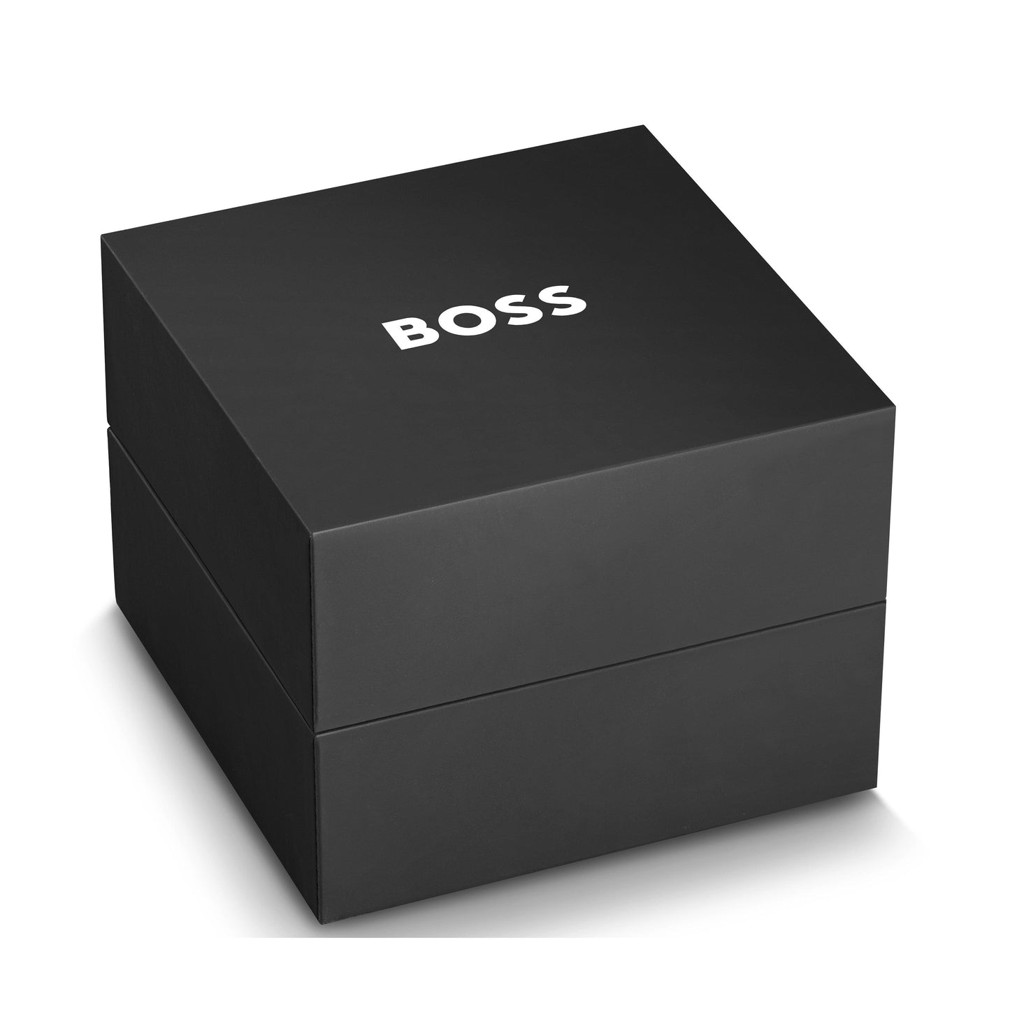 Montre Homme Hugo Boss Acier 1512964