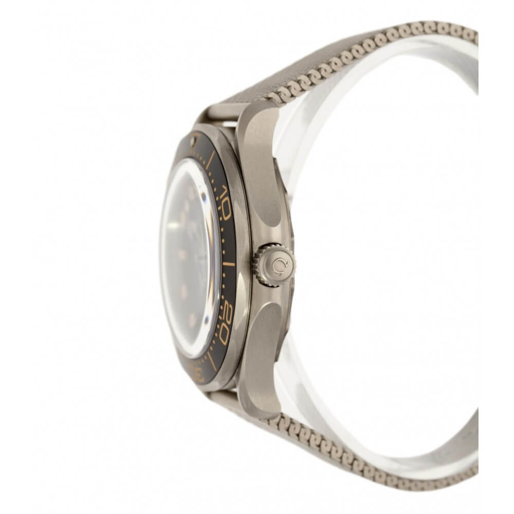 Seamaster CO‑AXIAL MASTER CHRONOMÈTRE 42 MM